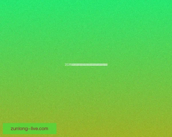 2026年世界杯热门对决解析：焦点比赛和实力强队的巅峰对决