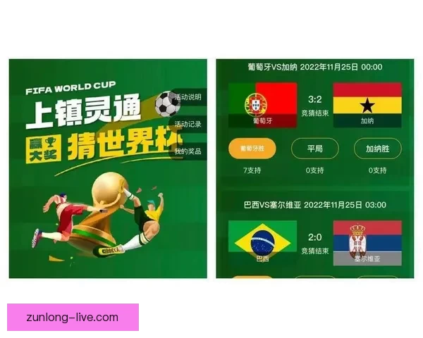 世界杯竞猜技巧全解析 提升准确率的有效策略与心得分享