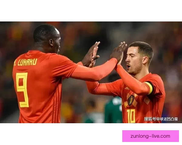 比利时足协与帕尔多深入会谈 球员或征战世界杯 比利时足协与帕尔多深入会谈 球员或征战世界杯